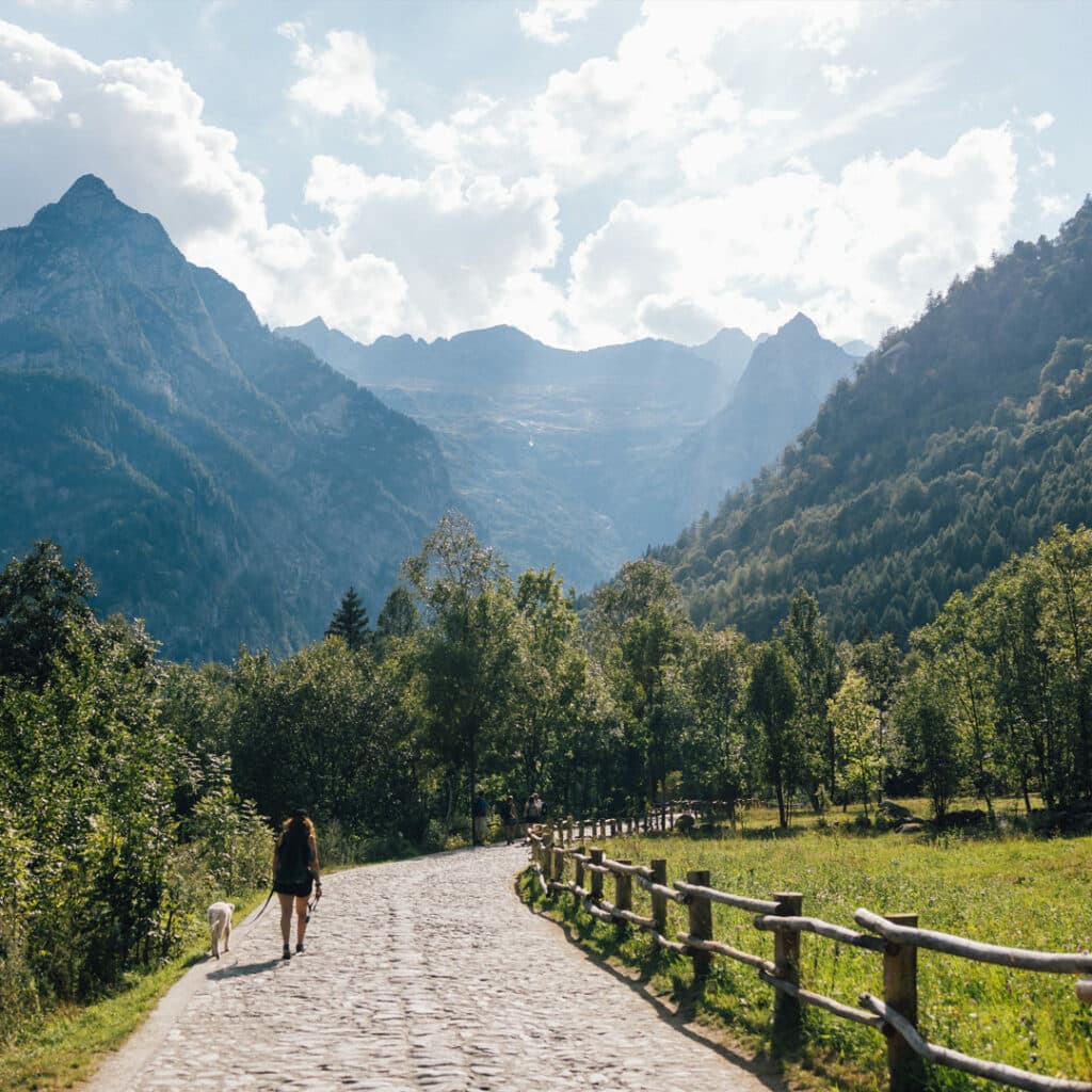 Migliori sentieri trekking Trentino alto adige